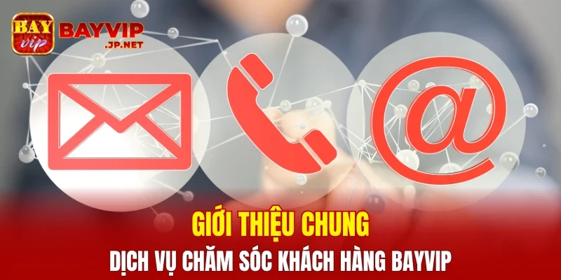 Giới thiệu chung về dịch vụ chăm sóc khách hàng BAYVIP