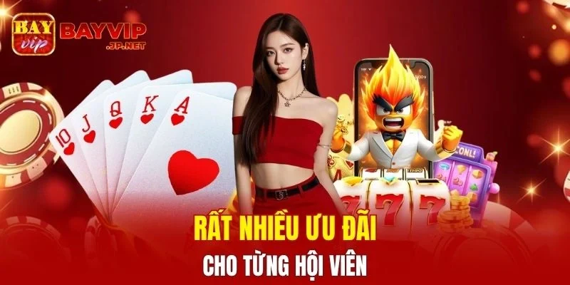 Rất nhiều ưu đãi khác nhau cho từng hội viên